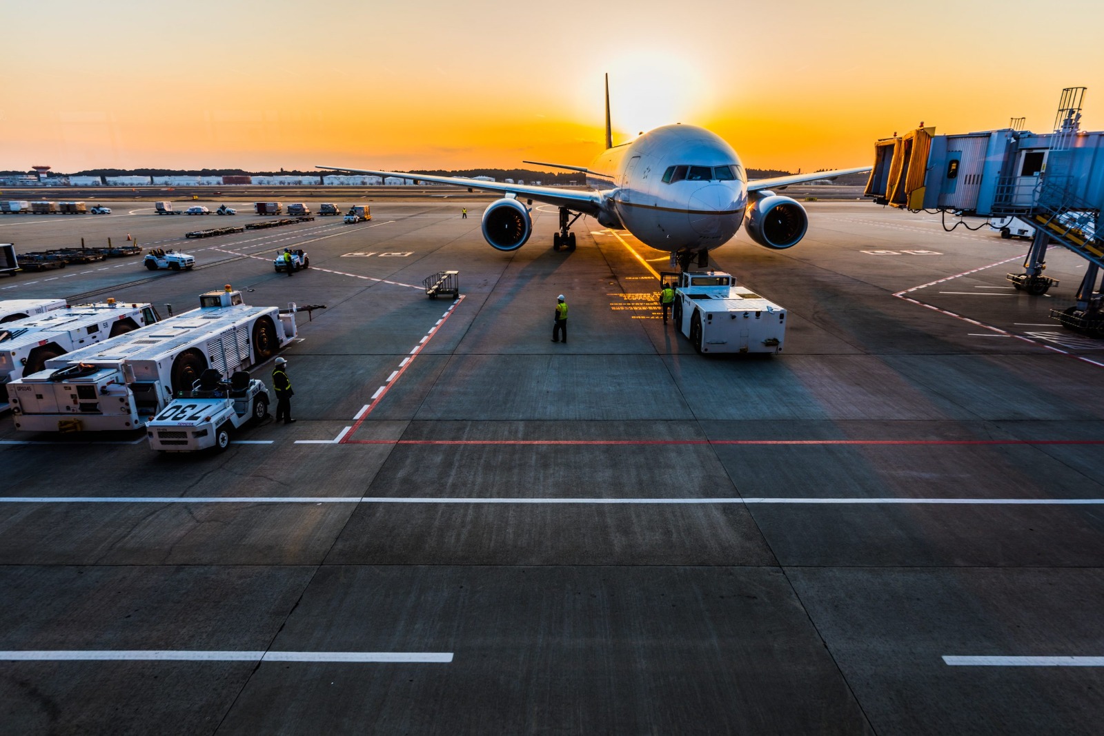 Customs Clearance