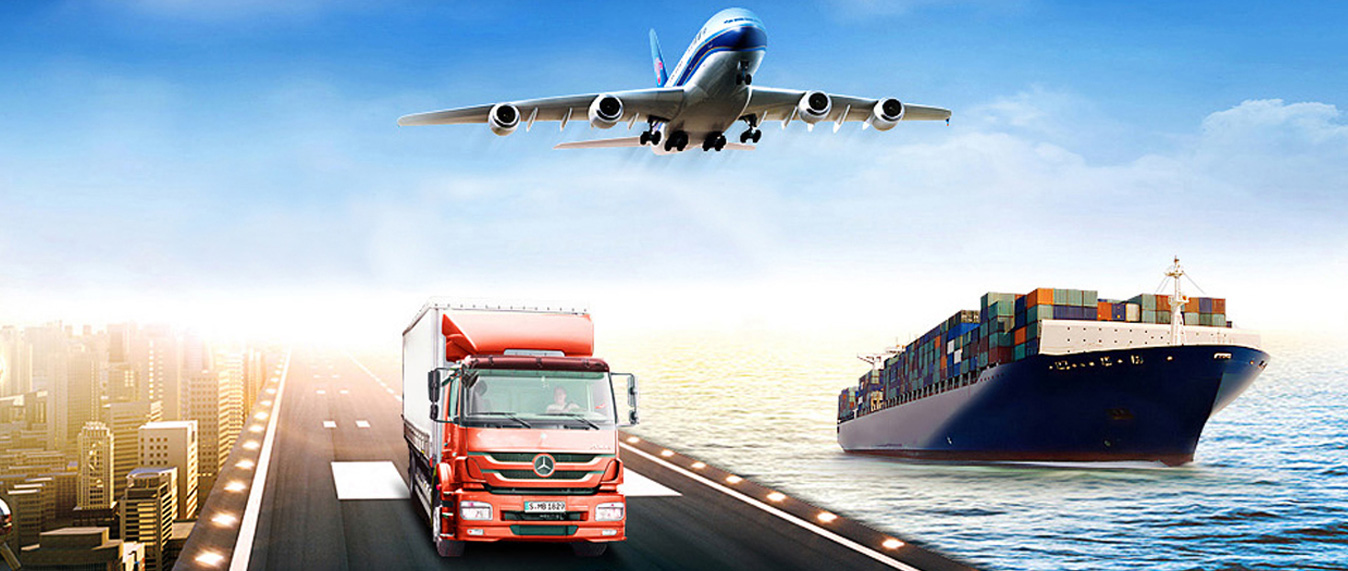 Our Logistics Team
